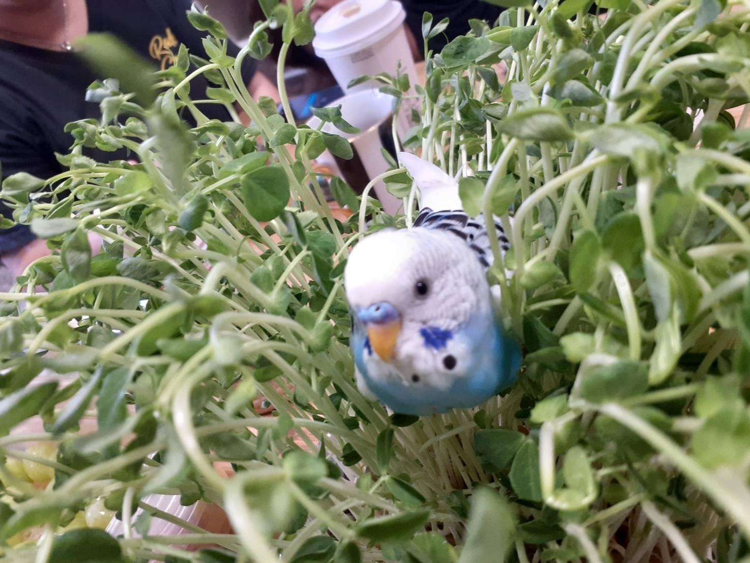 レオちゃん レオちゃん