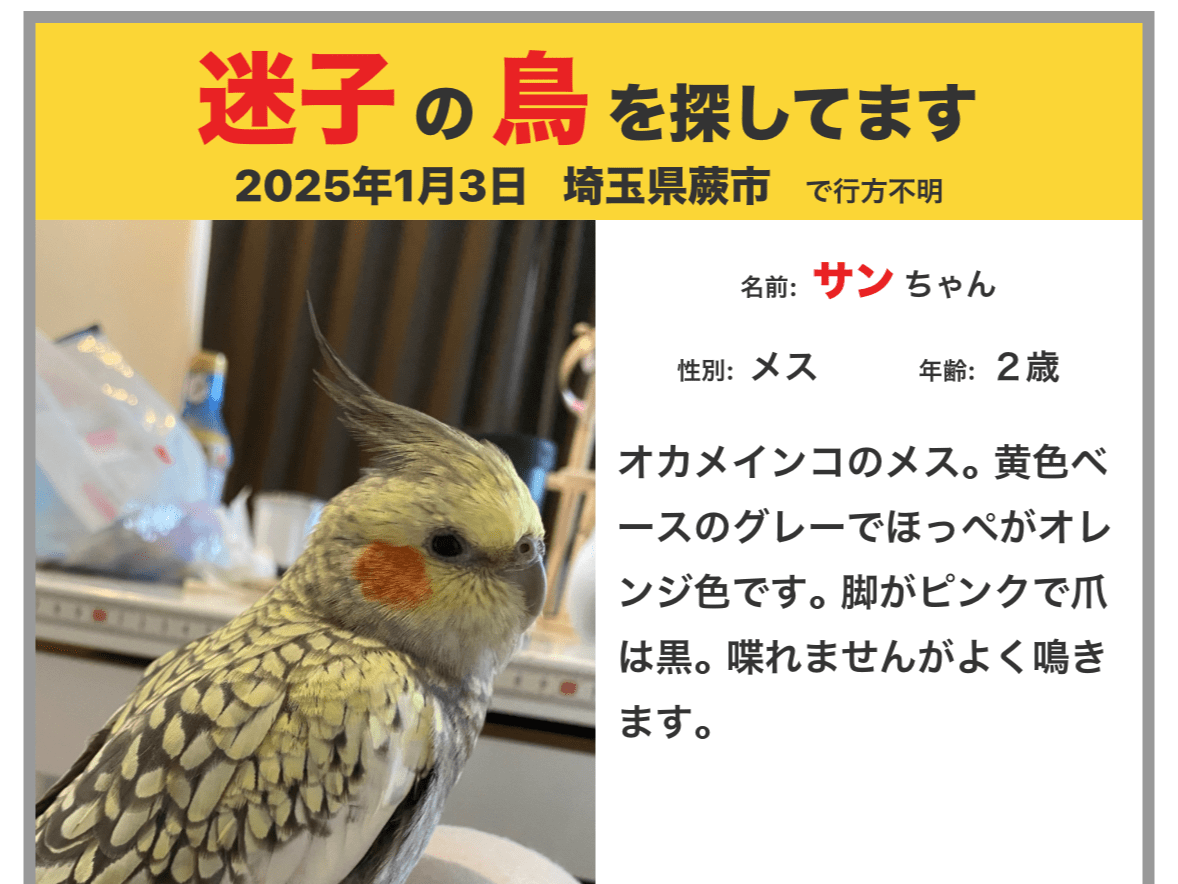 サンちゃん サンちゃん