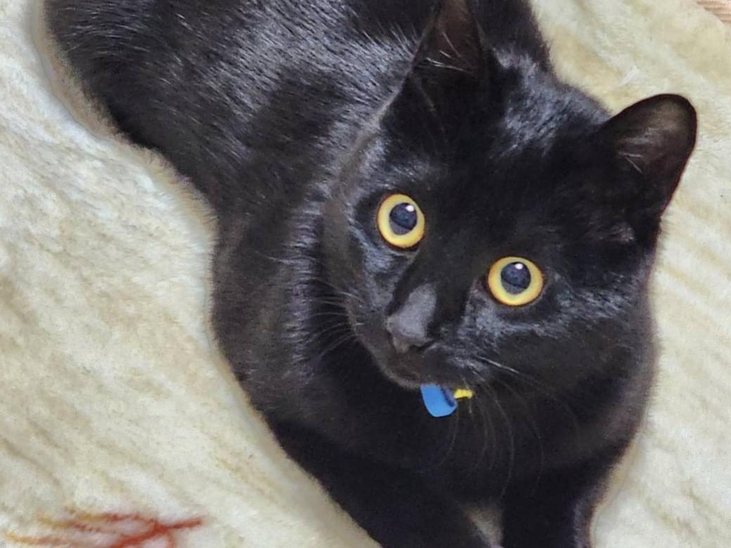 のあちゃん のあちゃん