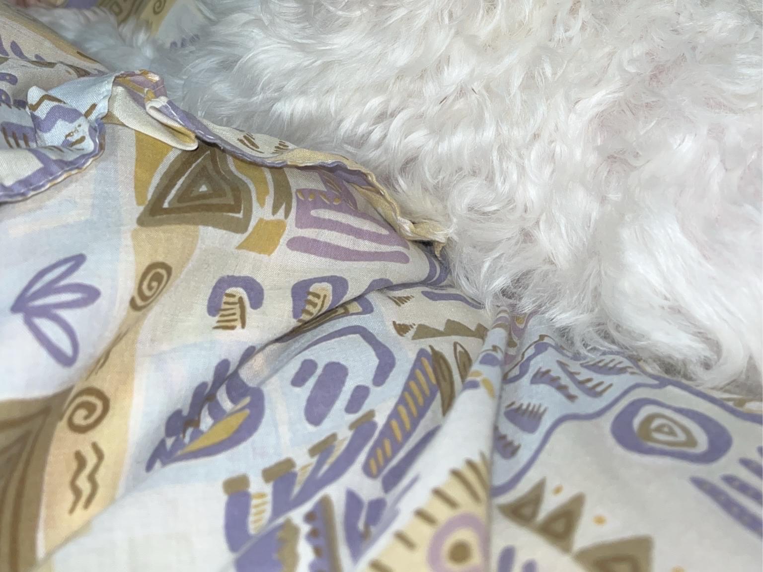 みい子 ミルちゃん