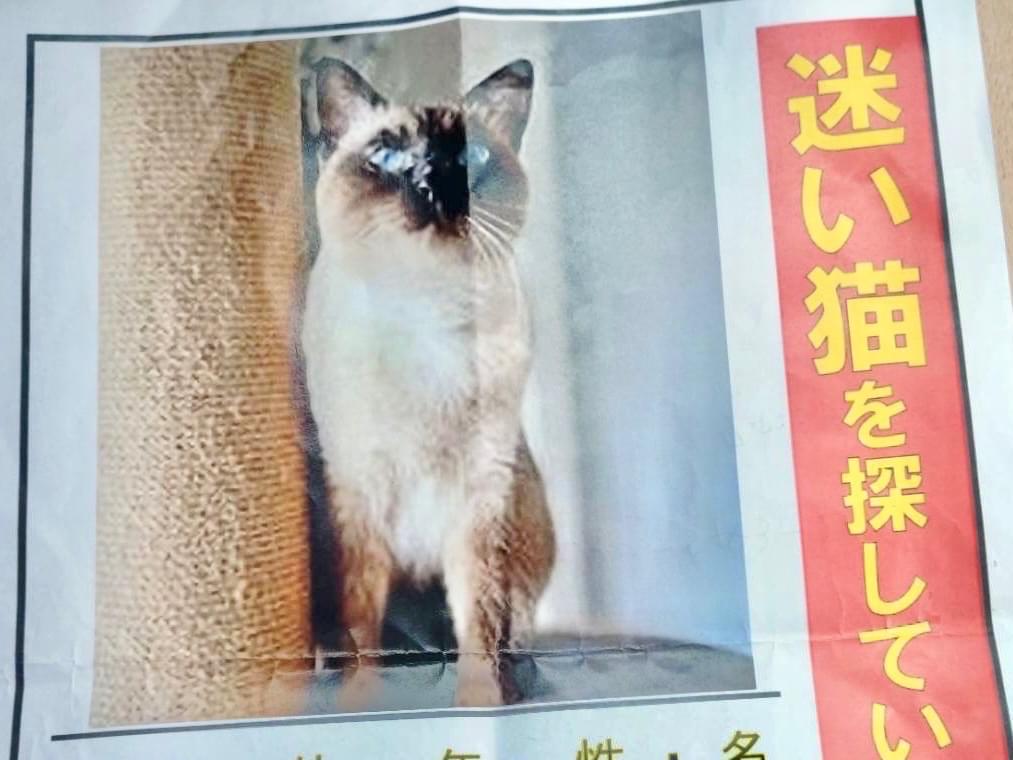 ぷう子ちゃん