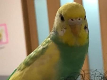 すずちゃん すずちゃん