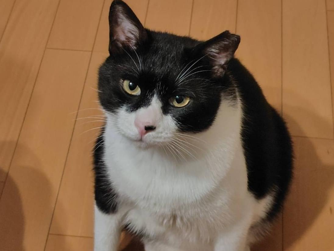 まるちゃん まるちゃん