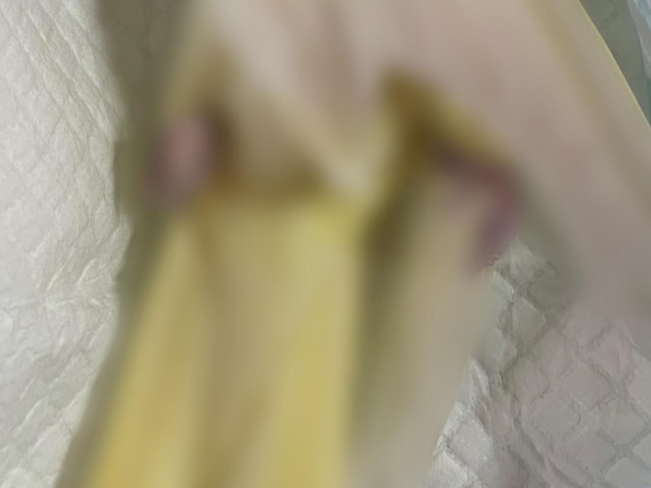 保護された鳥 保護された鳥