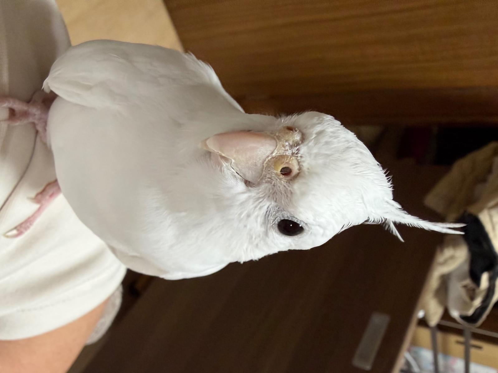 テルちゃん テルちゃん