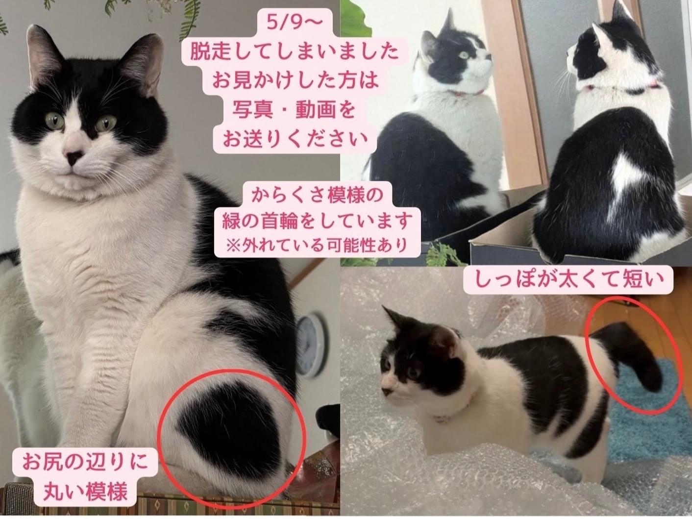 マメ太ちゃん