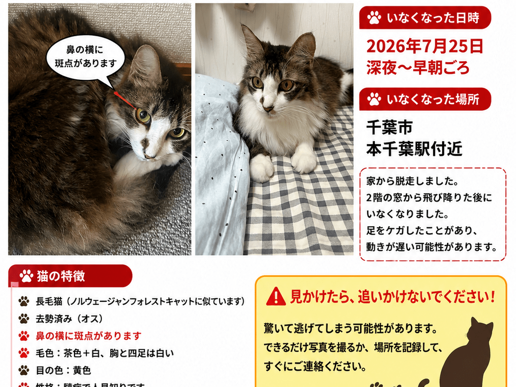 ごまちゃん ごまちゃん