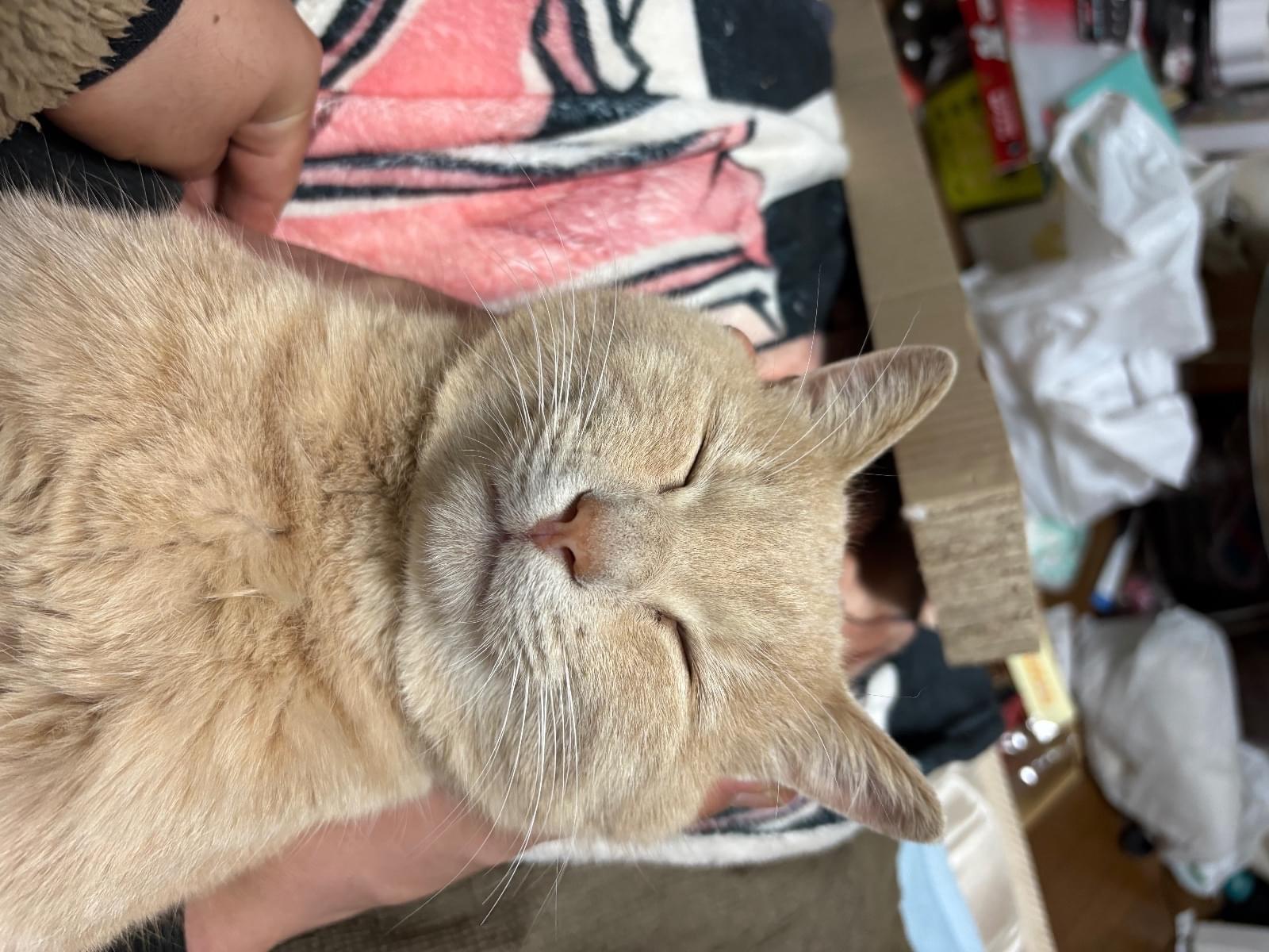 けいちゃん けいちゃん