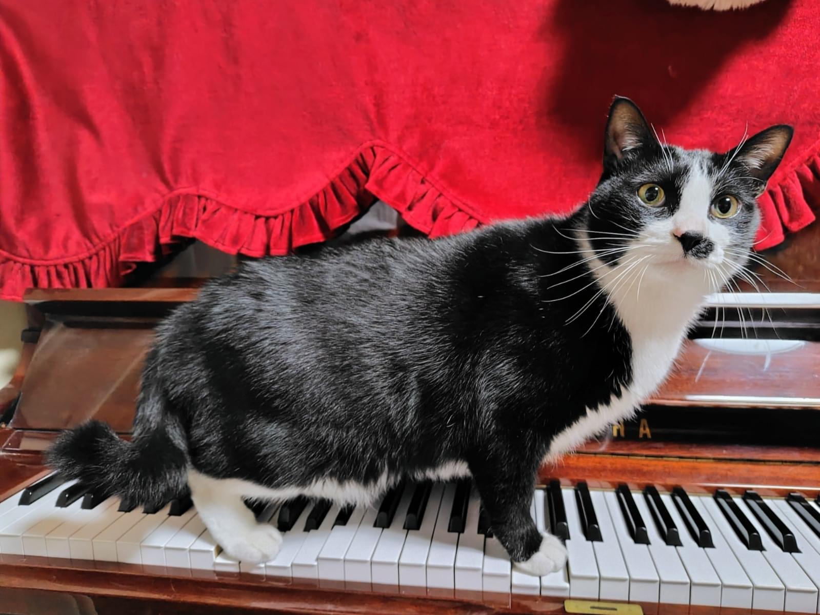 みっちゃん みっちゃん