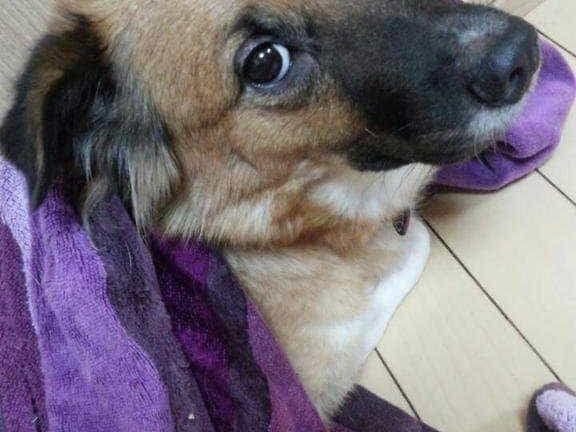 ソラちゃん ソラちゃん