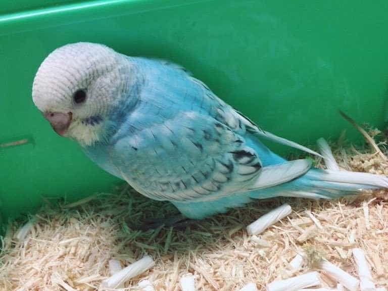 海ちゃん 海ちゃん