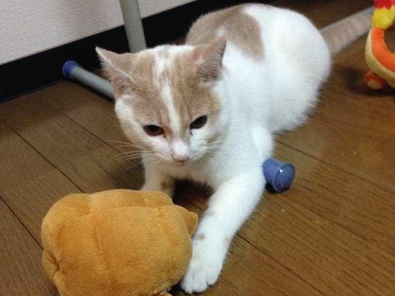 すずちゃん すずちゃん