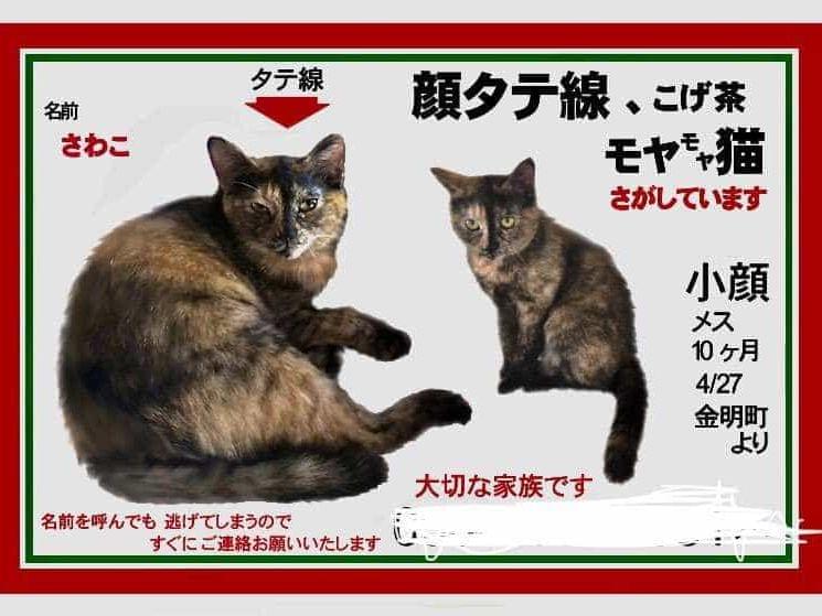さわこちゃん さわこちゃん