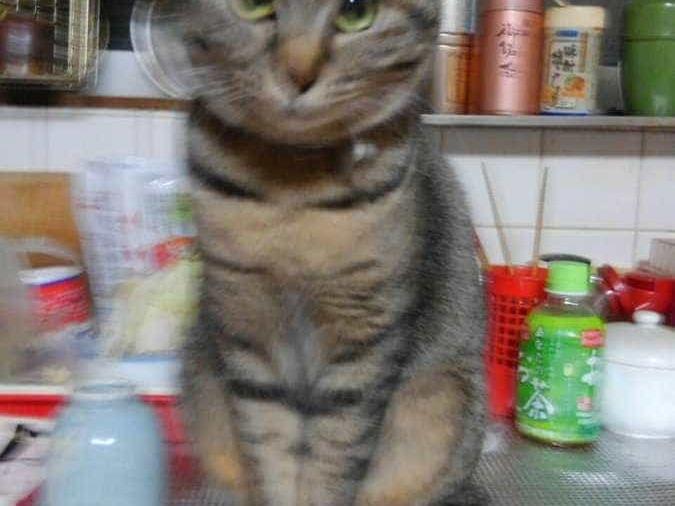 ちびちゃん ちびちゃん