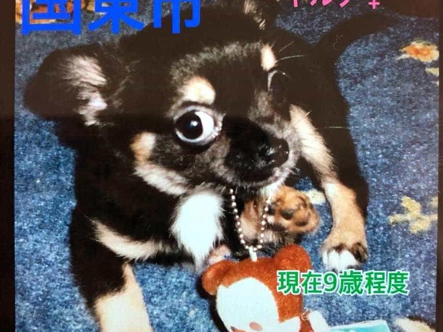 キルアちゃん キルアちゃん