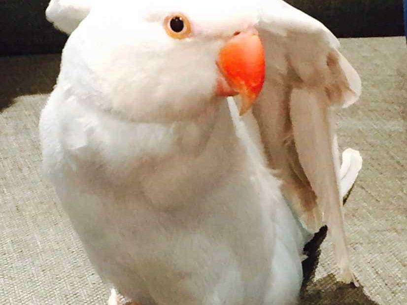 空ちゃん 空ちゃん