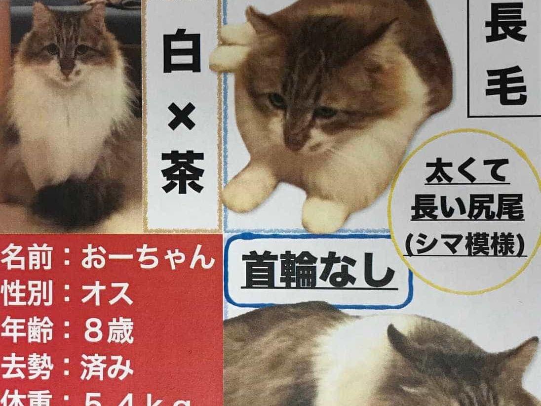 おーちゃん おーちゃん