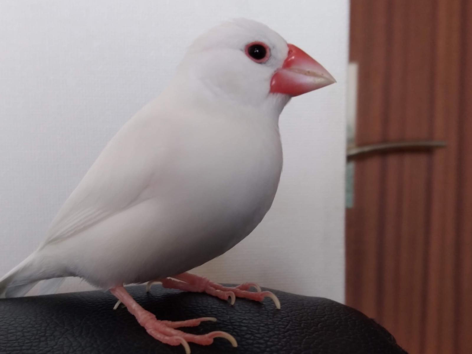 グクちゃん グクちゃん