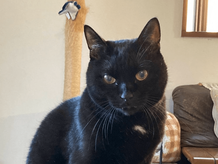 ソラちゃん ソラちゃん