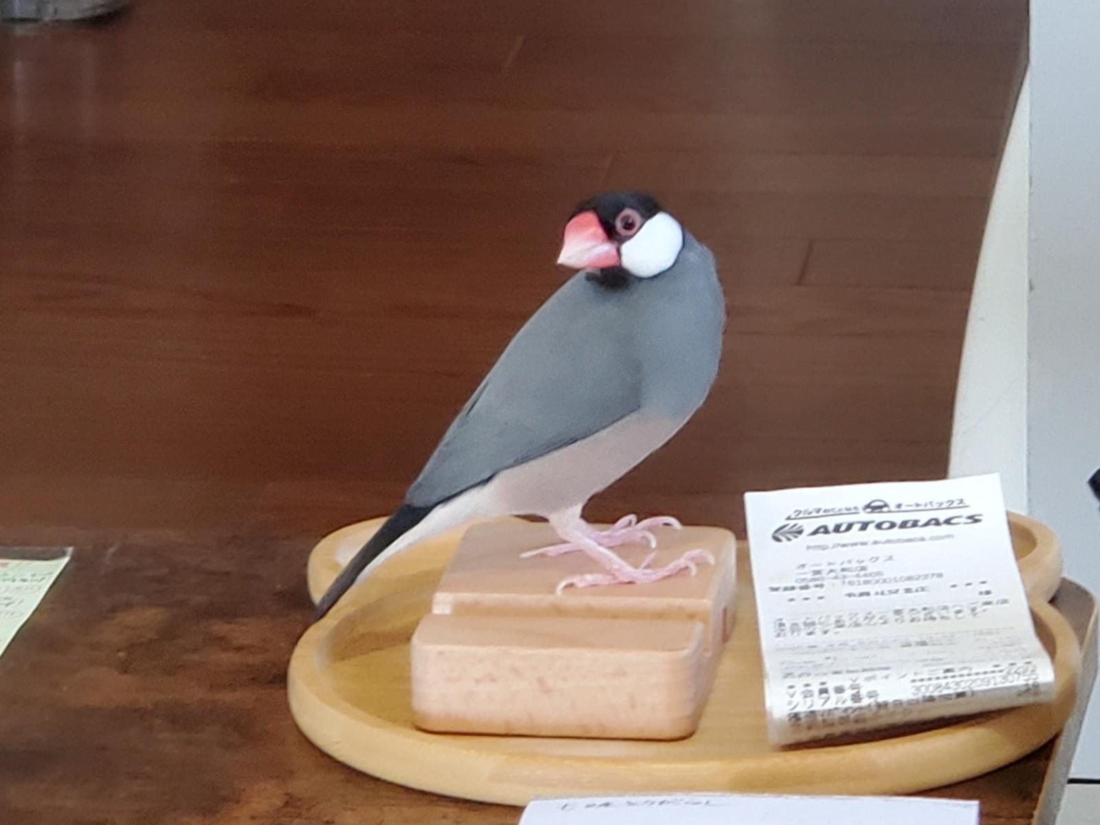 ふくちゃん ふくちゃん