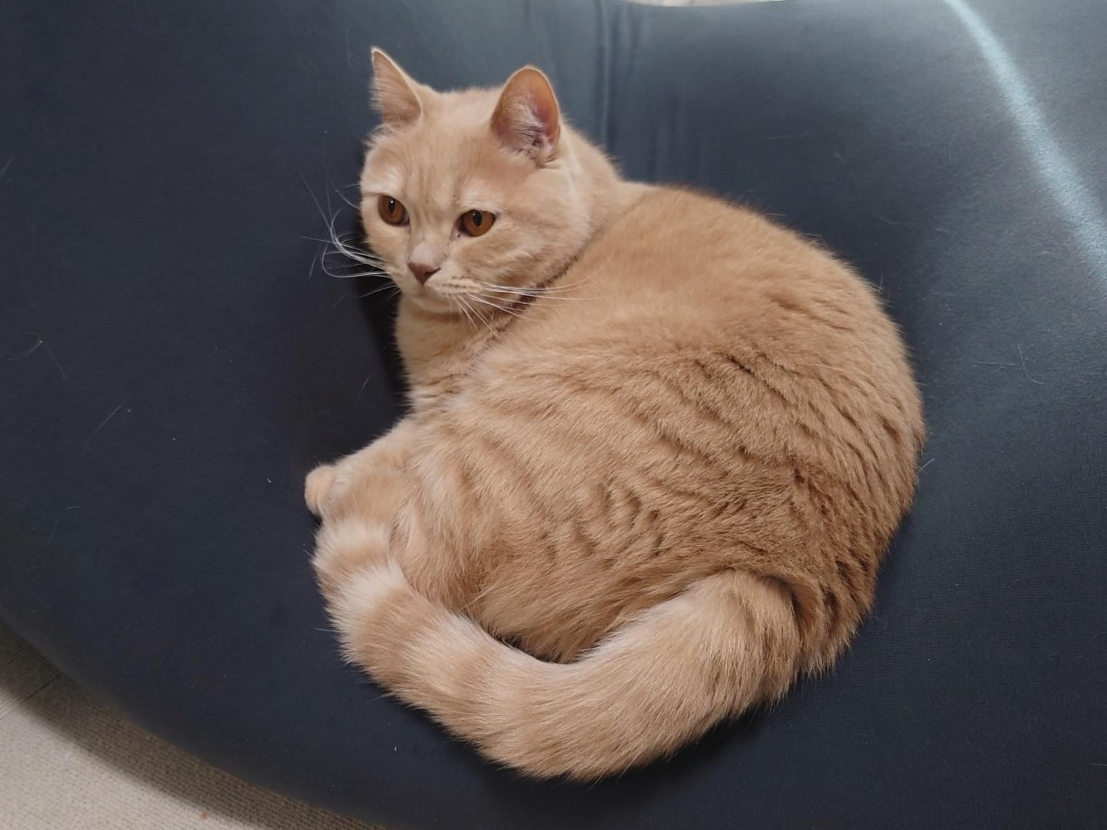 ぴょんきちちゃん ぴょんきちちゃん