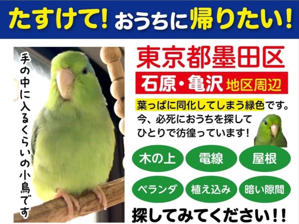 まめちゃん まめちゃん