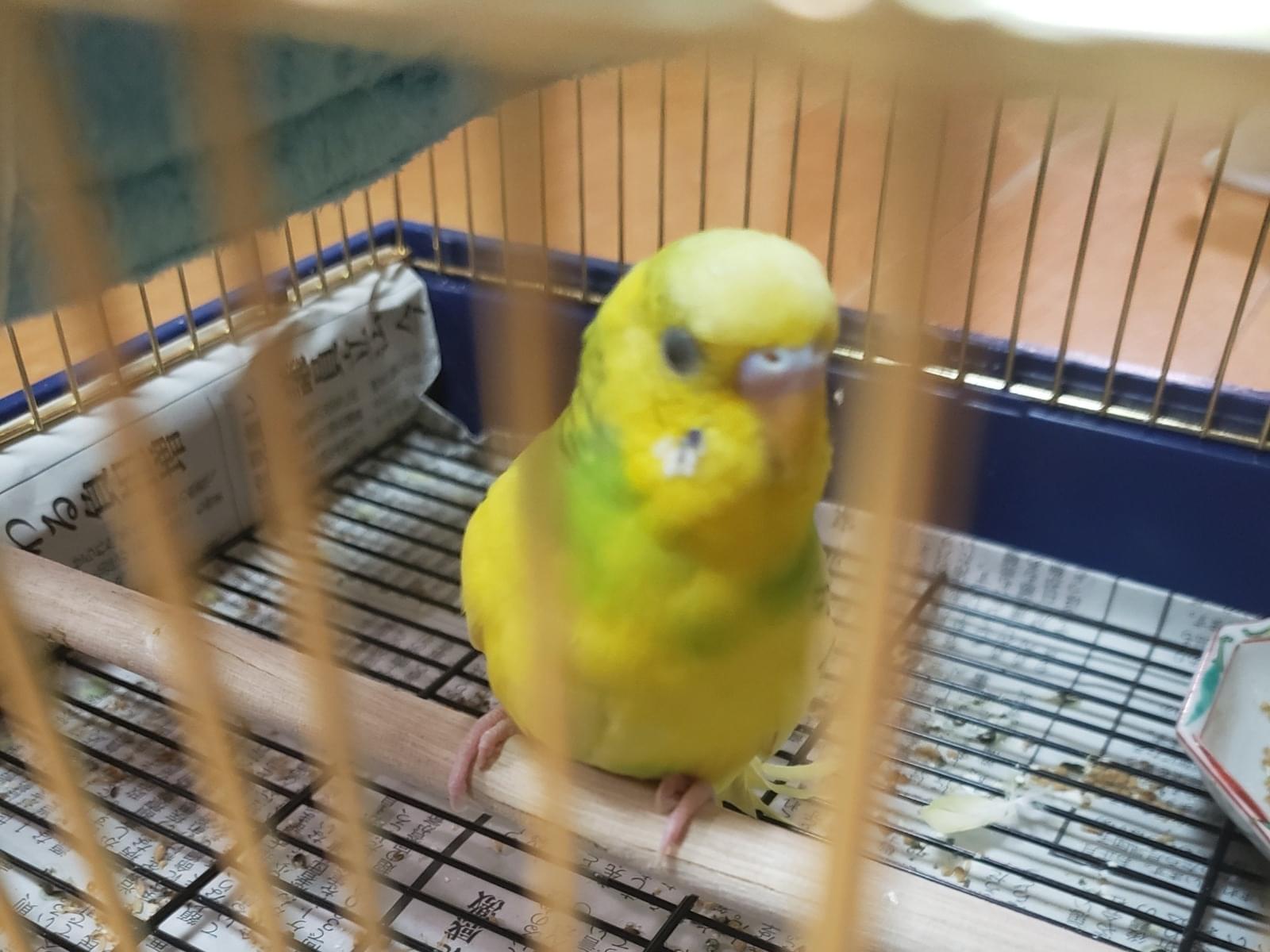 まりちゃん まりちゃん