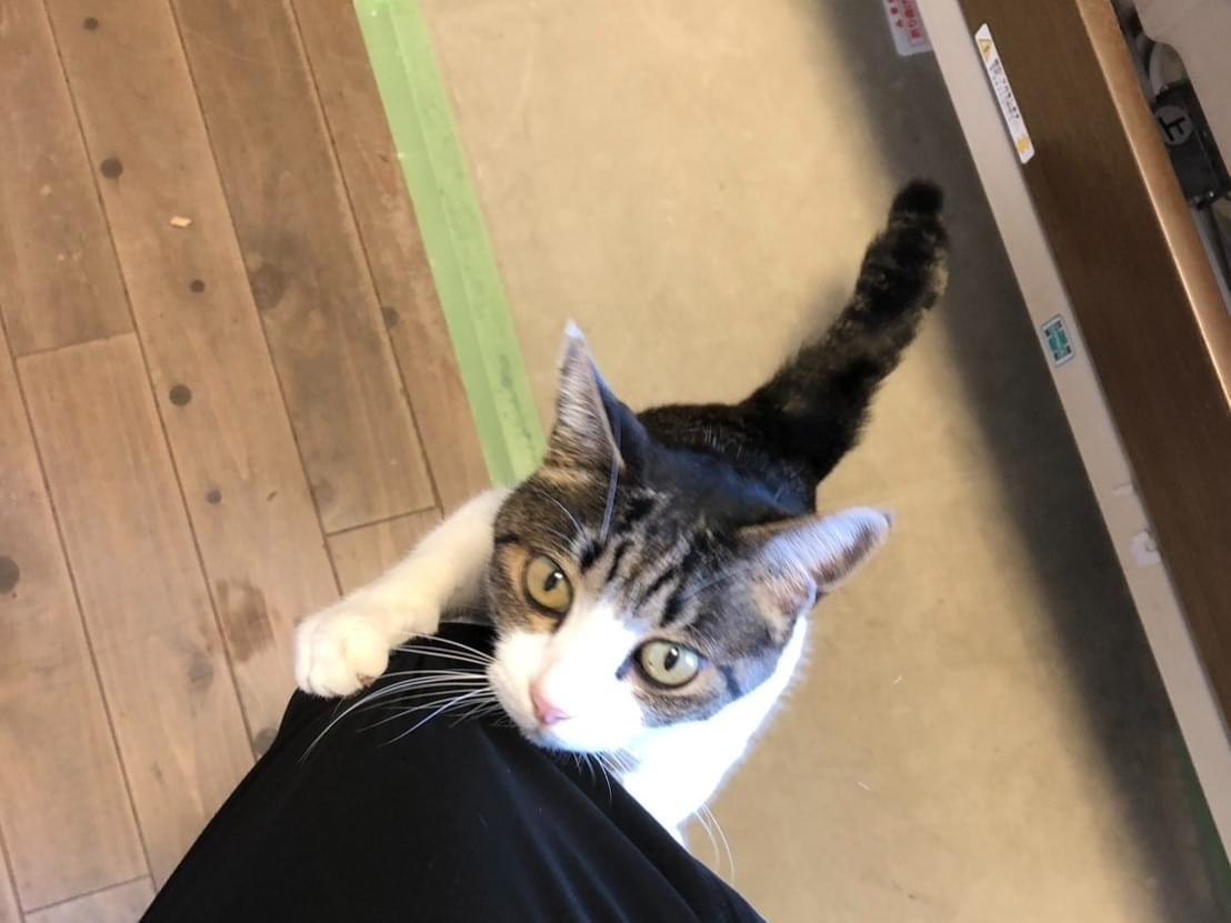 りょうちゃん りょうちゃん