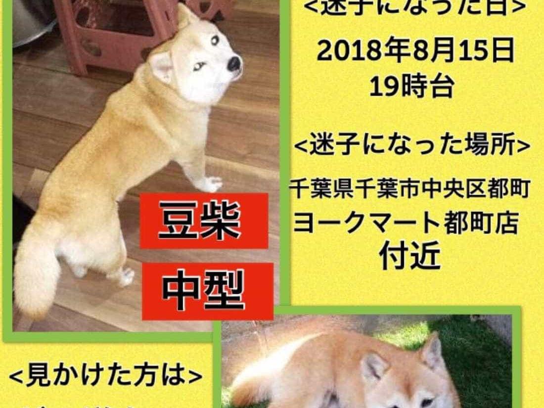 るなちゃん るなちゃん