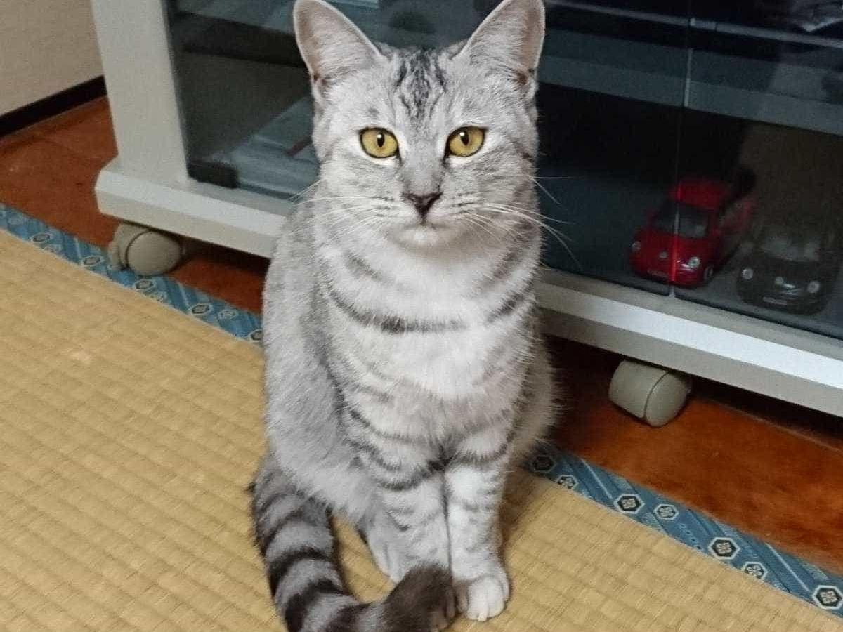 なつちゃん なつちゃん