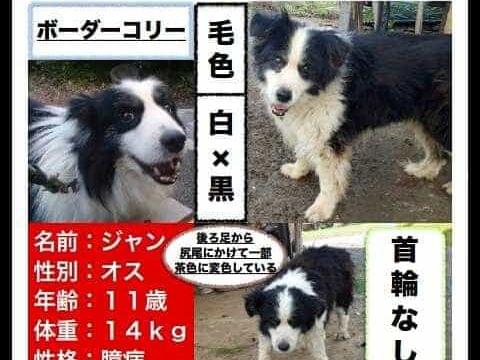ジャンちゃん ジャンちゃん