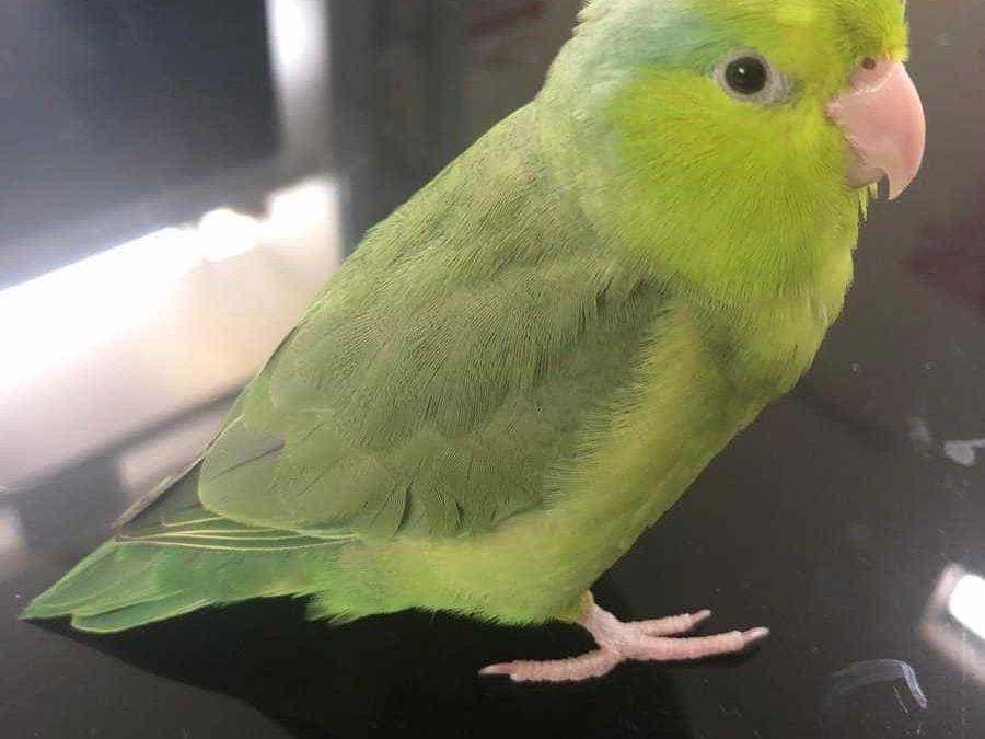 ゆづちゃん ゆづちゃん