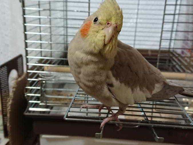 まめちゃん まめちゃん