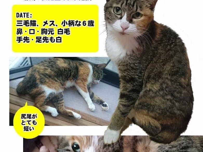 ぎゅうにゅうちゃん ぎゅうにゅうちゃん