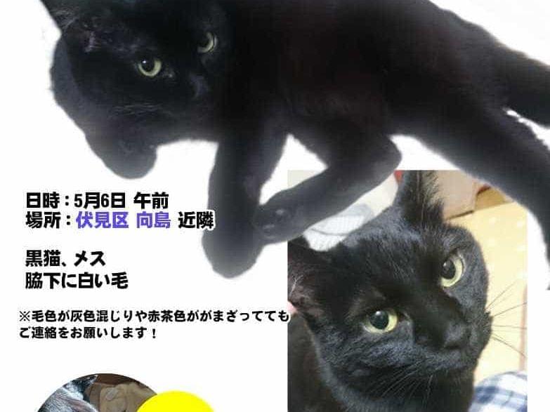 きのこちゃん きのこちゃん