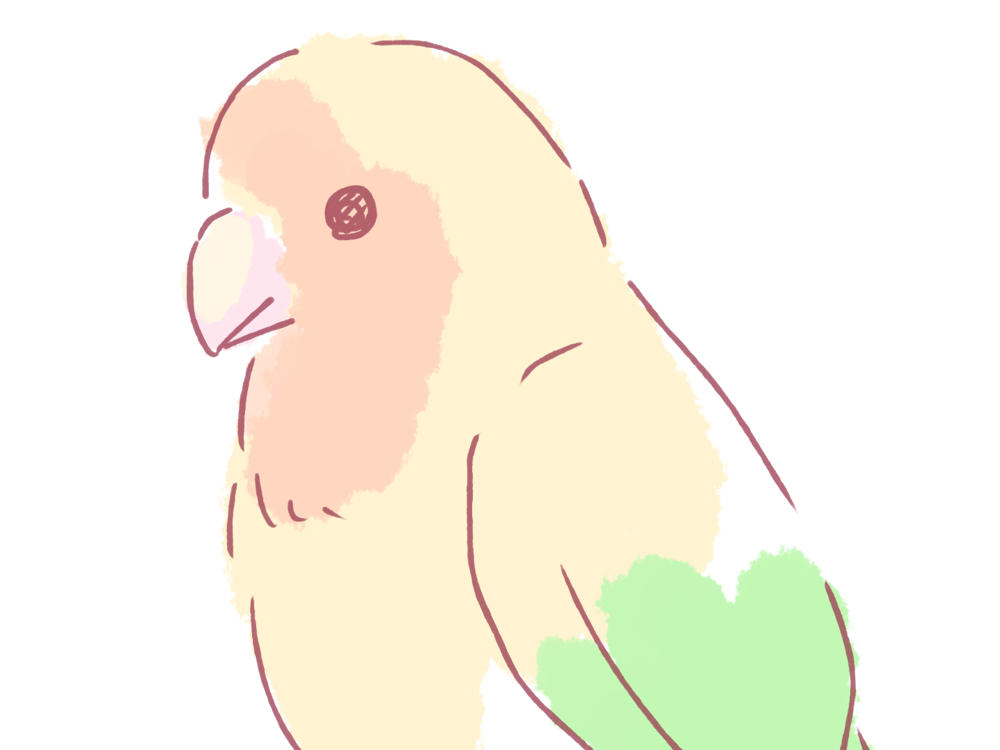 目撃された鳥 目撃された鳥