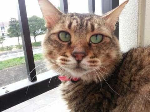 あおいちゃん あおいちゃん