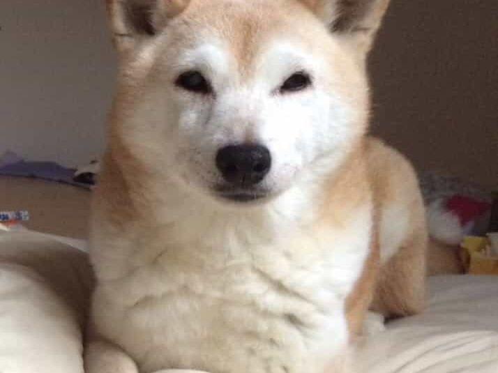 クリちゃん クリちゃん