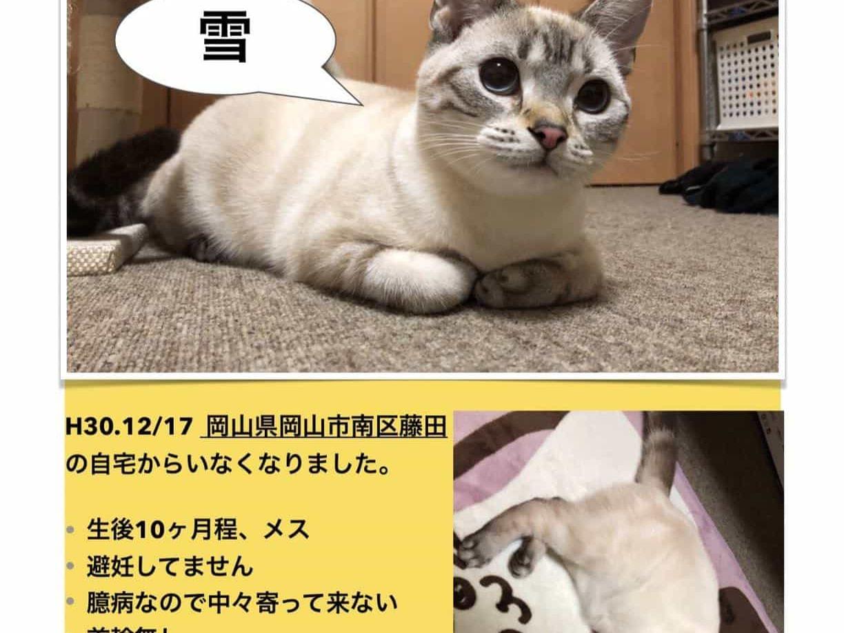 雪ちゃん 雪ちゃん