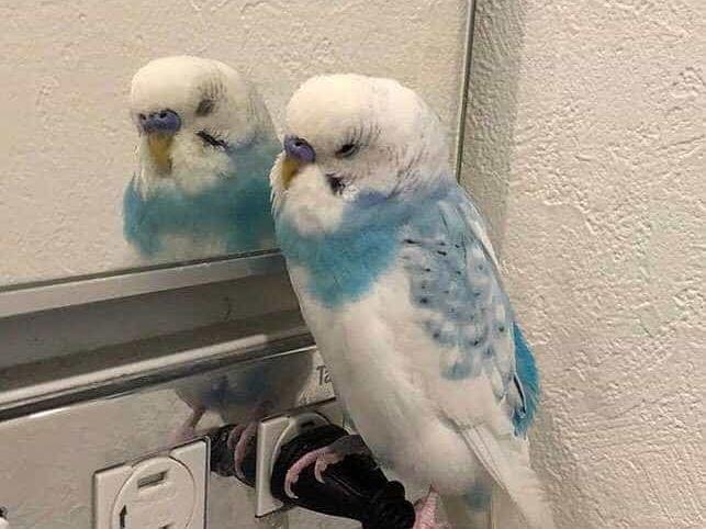 はぴちゃん はぴちゃん