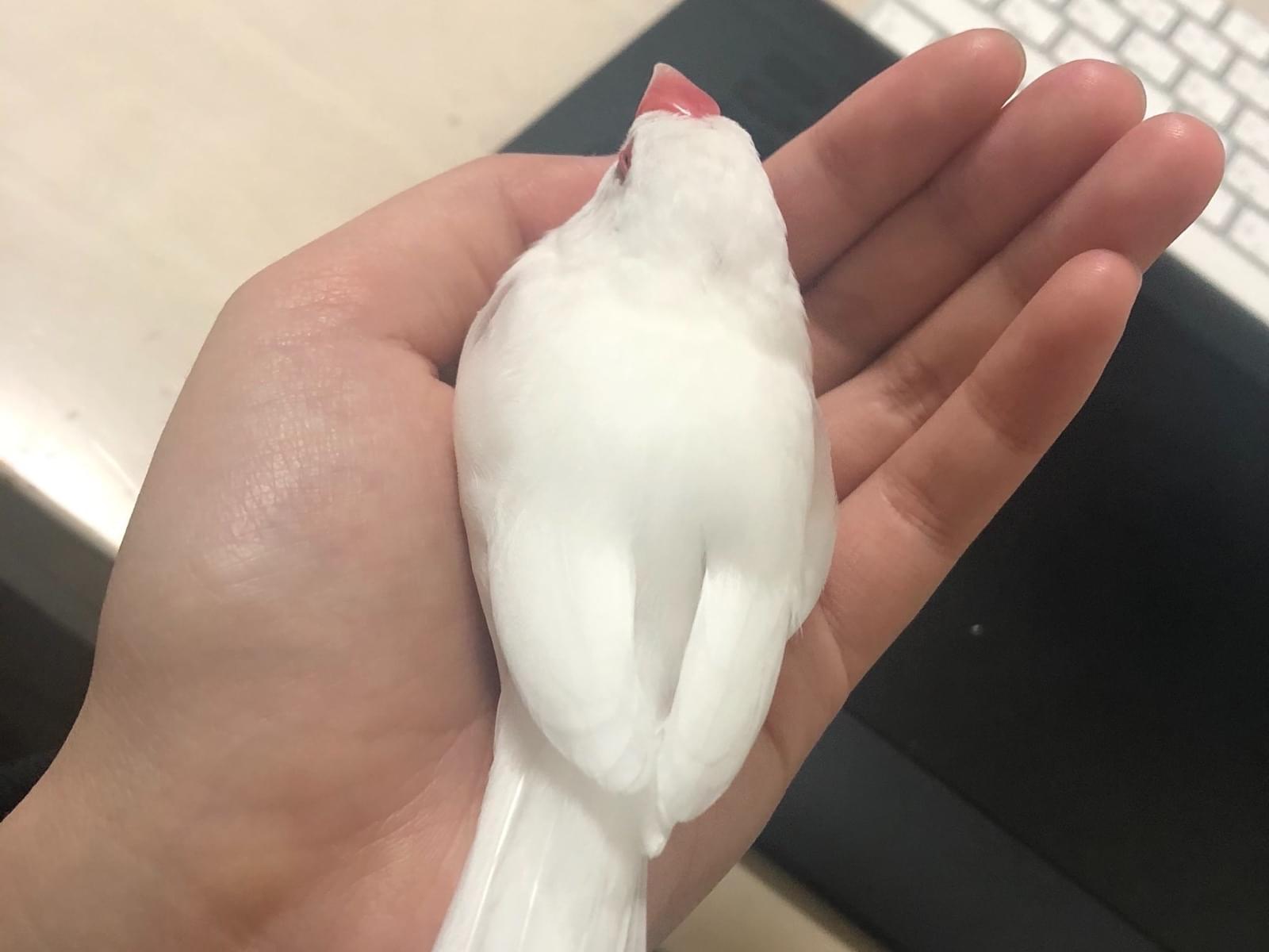 うめちゃん うめちゃん