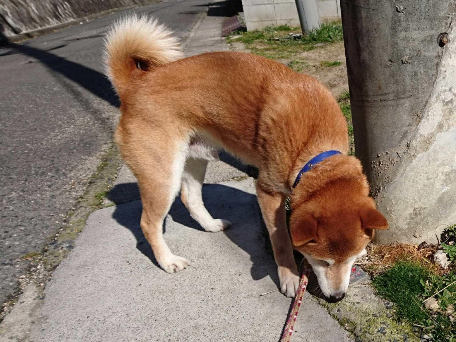 たくちゃん たくちゃん