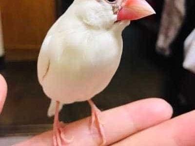 からみちゃん からみちゃん