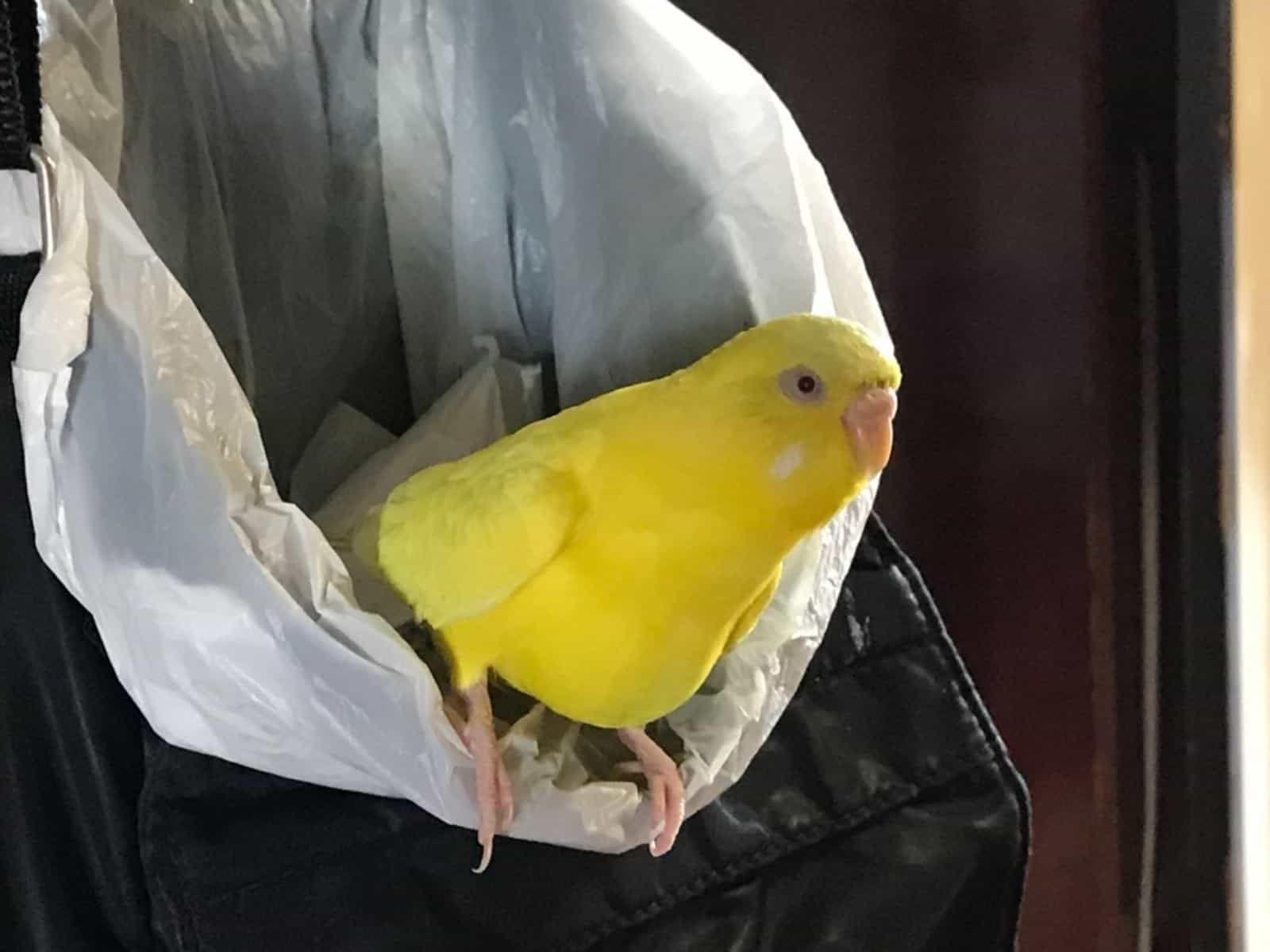 クウちゃん クウちゃん