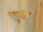 すずちゃん すずちゃん
