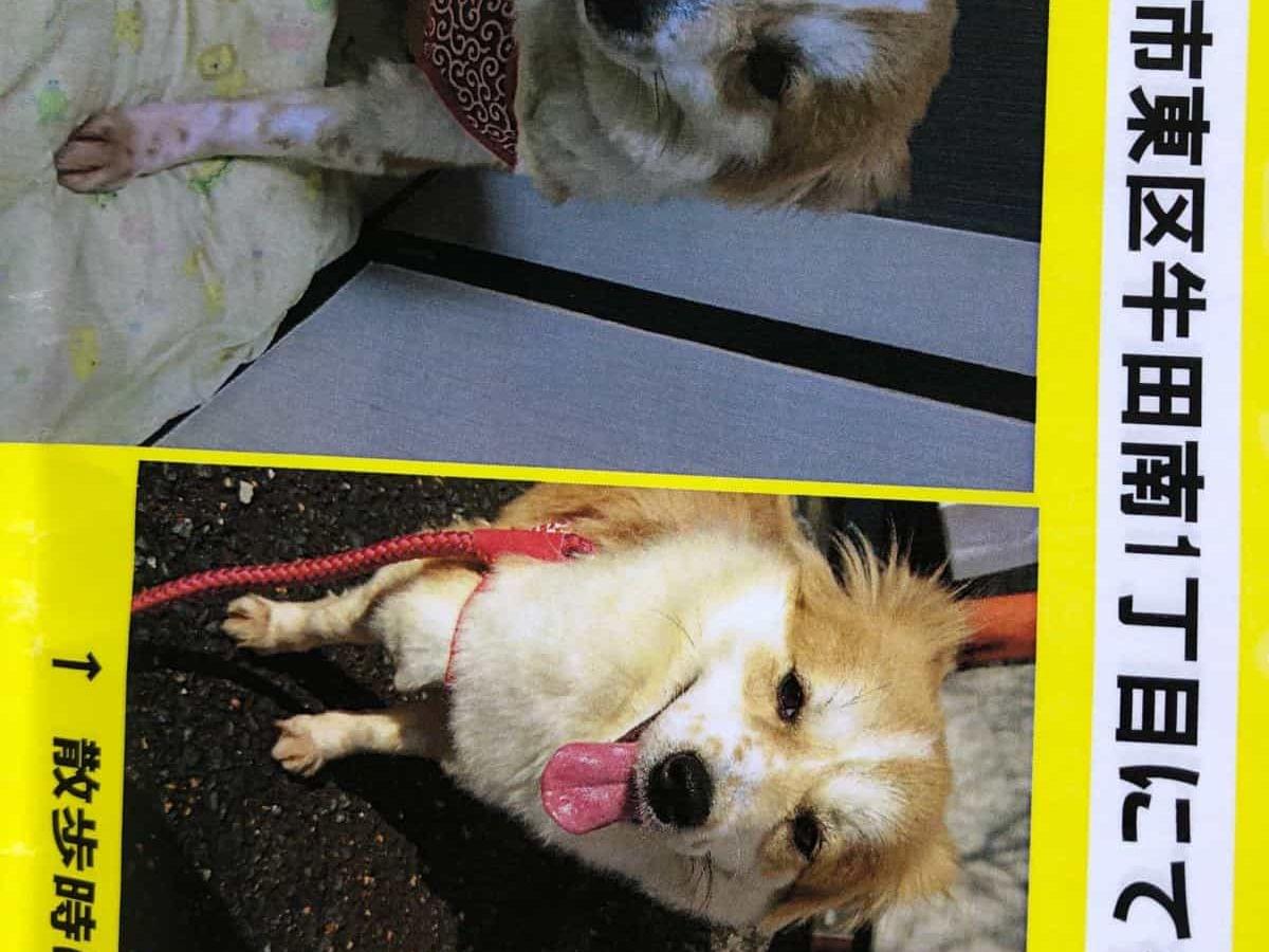 すぅちゃん すぅちゃん