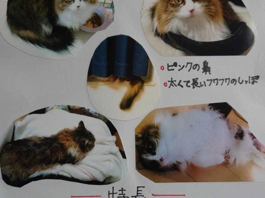 まるちゃん まるちゃん