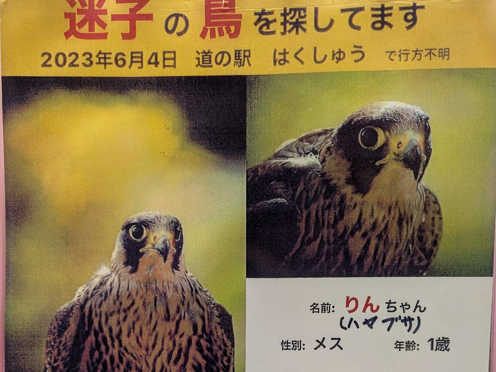 凛ちゃん 凛ちゃん