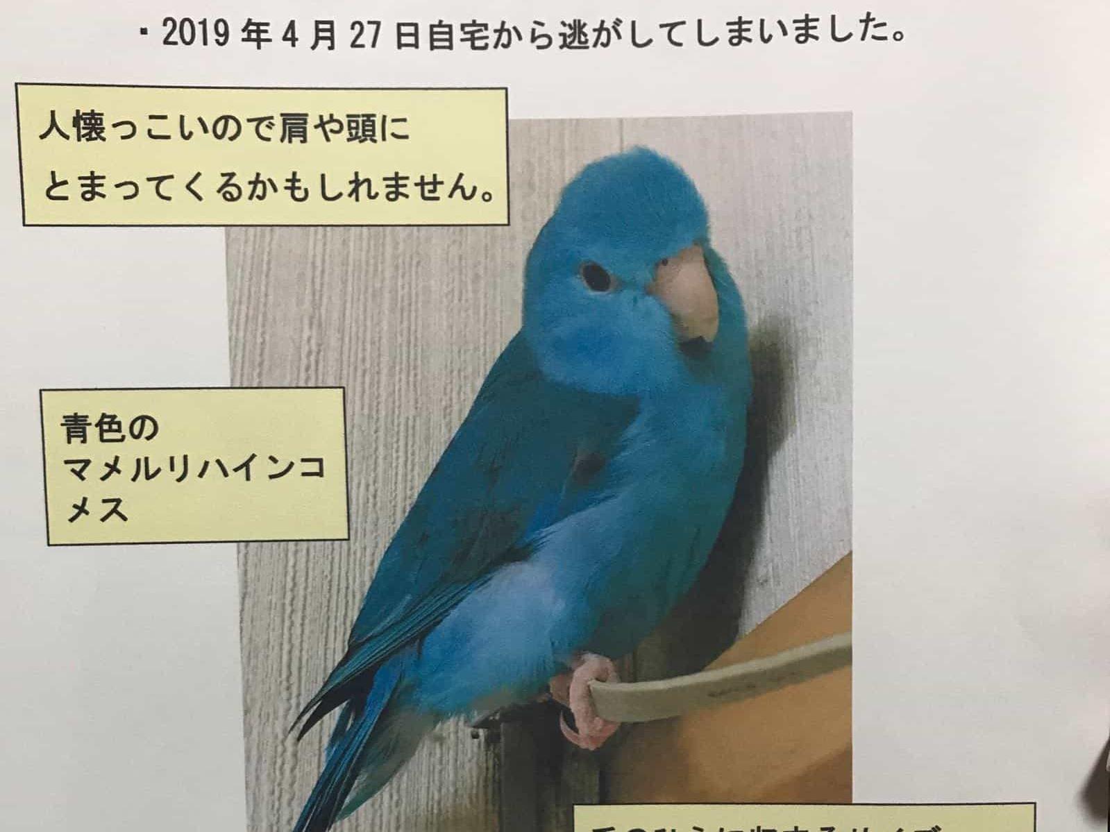 チュネちゃん チュネちゃん