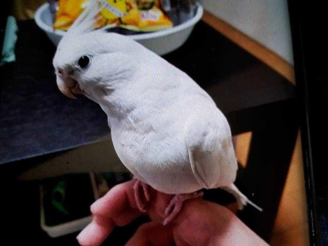 しーちゃん しーちゃん